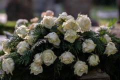 nordfriedhof_20200418-6727