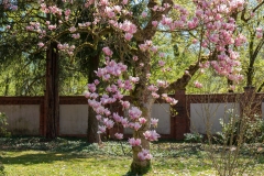 nordfriedhof_20200429-6888