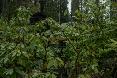 nordfriedhof_april1