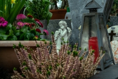 nordfriedhof_april15