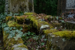 nordfriedhof_april21
