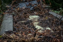 nordfriedhof_april22