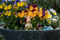 nordfriedhof_april_202210