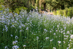 nordfriedhof_april_202211