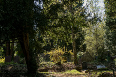 nordfriedhof_april_202213