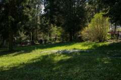 nordfriedhof_april_202216