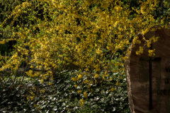 nordfriedhof_april_20223