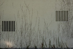 nordfriedhof_april_20227