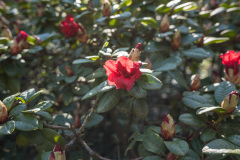 nordfriedhof_april_20228