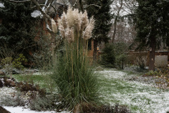 Nordfriedhof_Dezember_221
