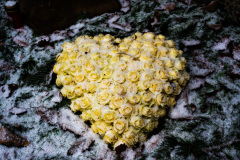Nordfriedhof_Dezember_2214