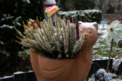 Nordfriedhof_Dezember_2225