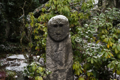 Nordfriedhof_Dezember_224