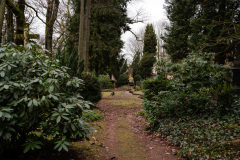 nordfirehof_DEzember231