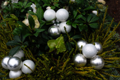 nordfirehof_DEzember2317