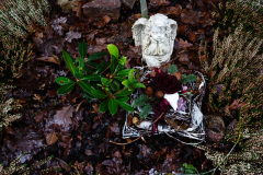 nordfirehof_DEzember2319