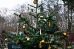 nordfirehof_DEzember2324