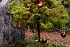 nordfirehof_DEzember235