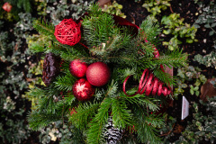 nordfirehof_DEzember236