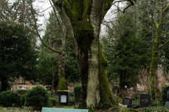 nordfirehof_DEzember237