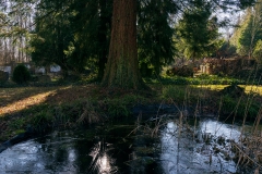 nordfriedhof_Februar_2019#10-2583