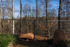 nordfriedhof_Februar_2019#12-2595