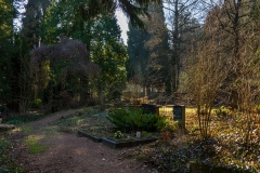 nordfriedhof_Februar_2019#14-2611