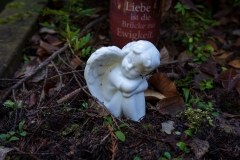 nordfriedhof_Februar_2019#15-2616