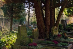 nordfriedhof_Februar_2019#16-2618
