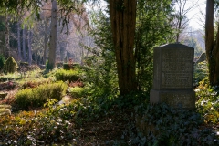 nordfriedhof_Februar_2019#17-2626