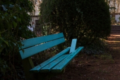 nordfriedhof_Februar_2019#21-2652