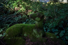 nordfriedhof_Februar_2019#22-2654