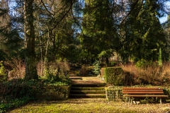 nordfriedhof_Februar_2019#8-2564