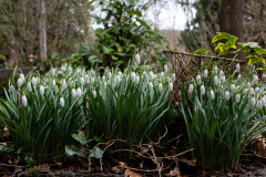 Nordfriedhof_Februar_2316