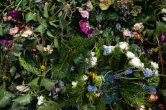 Nordfriedhof_Februar_2319