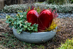 Nordfriedhof_Februar_232