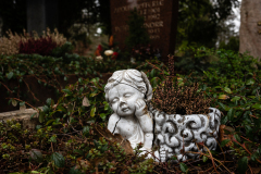 Nordfriedhof_Februar_2320