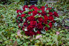Nordfriedhof_Februar_238