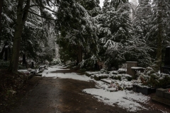 Nordfriedhof_Januar202113