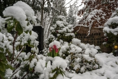 Nordfriedhof_Januar202115