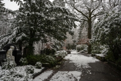 Nordfriedhof_Januar202116