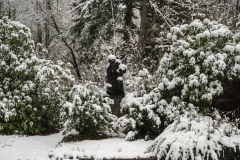 Nordfriedhof_Januar202118