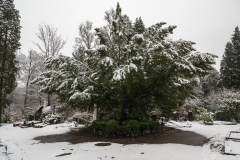 Nordfriedhof_Januar2112