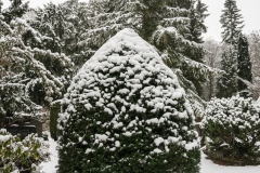 Nordfriedhof_Januar214