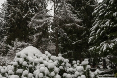 Nordfriedhof_Januar215