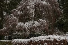 Nordfriedhof_Januar217