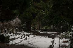 Nordfriedhof_Januar219
