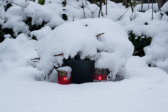 Wiesbaden_Nordfriedhof_Jan202310