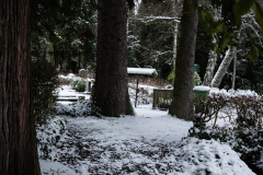 Wiesbaden_Nordfriedhof_Jan202311