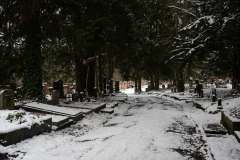 Wiesbaden_Nordfriedhof_Jan202313